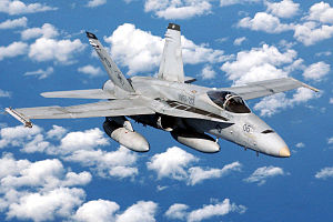 Picture of Hornet F/a-18 Fms - Aircraft