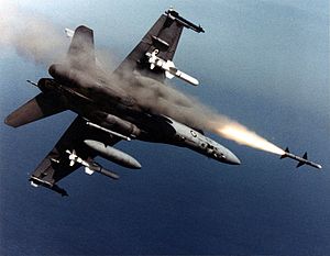 Picture of Sparrow (aim-7)  Air-to-air Missile