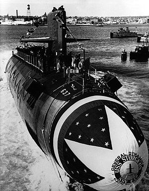 Picture of Sturgeon Class Ssn (637)
