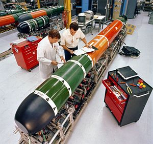 Picture of Mk 48 Torpedo
